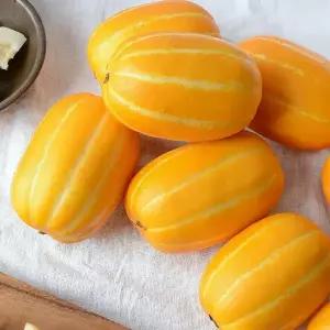 꿀당도 국내산 꿀 참외 10kg (혼합과)