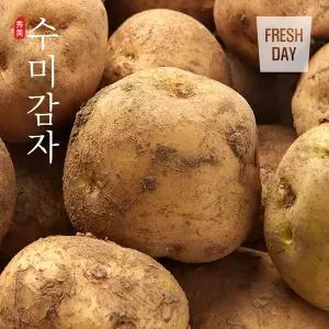 [산지직송] 포슬포슬 쫀득한 햇 수미감자 정품 10kg (40g~80g내외)