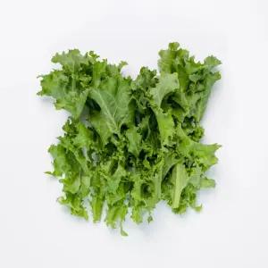 국내산 치커리 4kg 샐러드 쌈채소