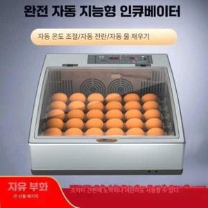 부화용품/병아리부화기 국산병아리 자동 인큐베이터 달걀 국산 HHD 단전지 병아리 소형