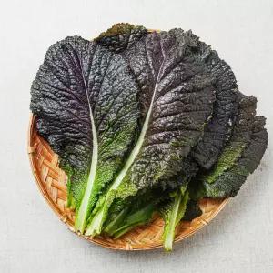 [GAP인증] 적겨자 500g /KL