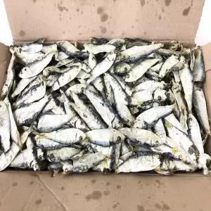 [미각] 국물 육수 국내산 디포리 밴댕이 1.5kg