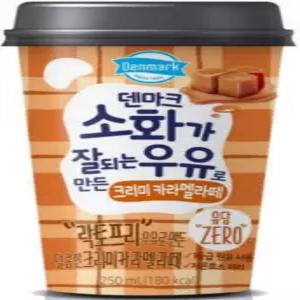 덴마크 소화가 잘되는 우유로 만든 카라멜라떼 250ml, 24개