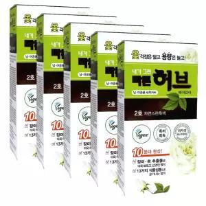 천연염색약 광동 내가그린 빠른허브 2호 x5개 자연스런 흑색 헤어칼라 새치 셀프 식물성분 160g