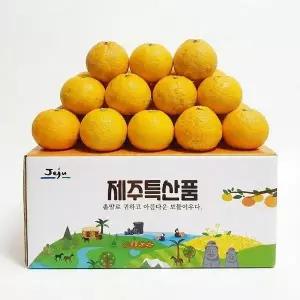 [제철진미] 제주 서귀포 햇 하귤 3kg 6-10과 여름귤 달콤새콤 하귤청 쥬스 즙
