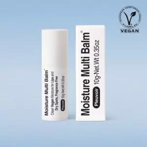 플르부아 모이스처 비건 립 앤 멀티밤 10g(립밤)