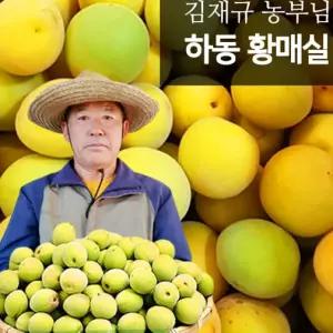 학교 과일청 과일액 하동 황매실 10kg 왕특,36-38mm,1번과 매실 청매실 하니C1