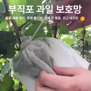 fre 배봉지 과수원 사과봉지 봉지 싸개 투명 과일봉지