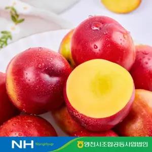 맛딜 [6 15 순차출고]농협직송 영천 신선복숭아 3kg 중소과 37-42과)