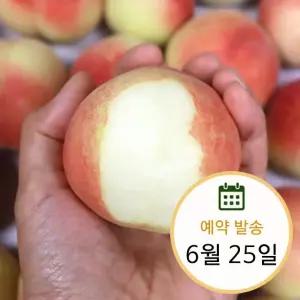 대극천 납작복숭아 중과 1kg
