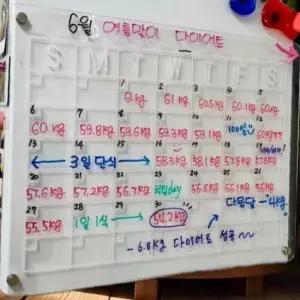 냉장고자석 화이트보드 아크릴 메모보드 월간 달력