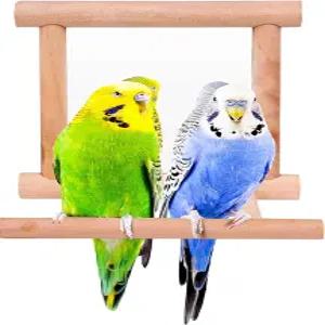 케이지용 블레스켈락스 버드 잉꼬 거울 패럿 농어 스탠드 우든 벌새 스윙 장난감 앵무새용 액세서리 코뉴어