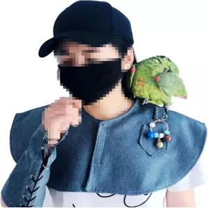 QBLEEV 새 어깨 똥 보호기 앵무새용 물림 방지 패드 기저귀 숄 마카우 아프리카 버지스 아가포르니스