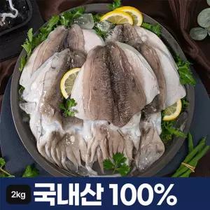 국내산 손질 갑오징어 12~14마리 (총 2kg / 마리당 110~250g)