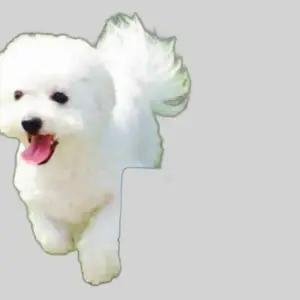 애견 리드줄 5m 블루도트 애견리드줄 애견목줄 개줄