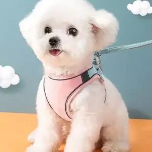 반려동물 빛반사 하네스 리드줄 M 고양이 야간하네스