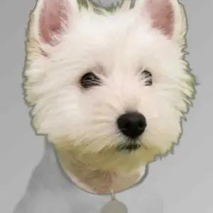 강아지 원형 팬던트 인식표 면목걸이 네임텍 XL 1P