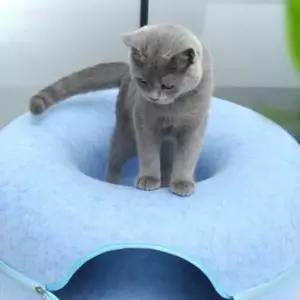 고양이 도넛 터널 숨숨집(60cm) (블루)