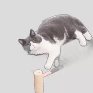 반려동물 원목 해먹 침대