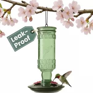 퍼키펫 유리병 벌새 모이통 - 야외 정원 장식 8108-1SR 10 Fl Oz 꿀 용량 내구성 있는 그린 앤티크 디자인