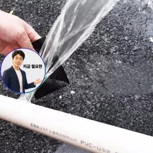 지금 필요한 발패치 라벤더 국산 건강 20매 에센스네이처 밴드형 에센스네이쳐