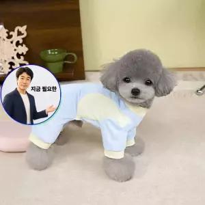 지금 필요한 책상정리 가방걸이 테이블 캐릭터 2개 백팩 행거 책상 고양이