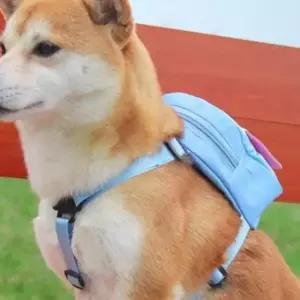 강아지 가방 하네스 산책 유치원 리드줄 슬링백 강아지백팩