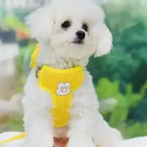 강아지 하네스 가방 H형 목줄 가슴줄 배낭 리드줄 산
