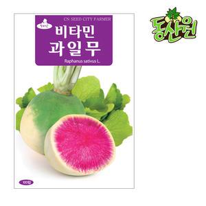 과일무씨앗 100립 가을무 수박무 종자 텃밭채소