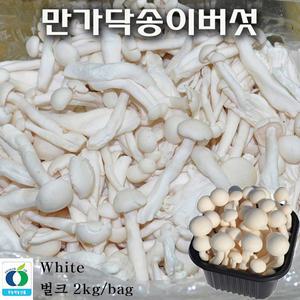 꼬레촌버섯 만가닥송이버섯(벌크)흰색 2kg