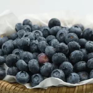 새콤달콤 블루베리 생과 하우스 500g(14mm이상-18mm미만)