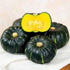 식식한상 [6 22 후숙 후 출고] 제주 미니 밤호박 5kg 못난이 외 단호박 보우짱