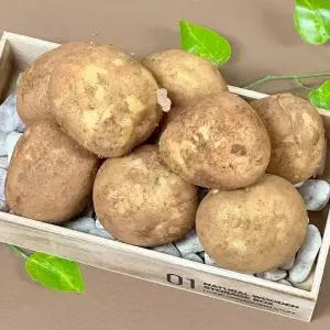 26년 수확 포슬포슬 국내산 햇감자 3kg 5kg 두백 수미감자