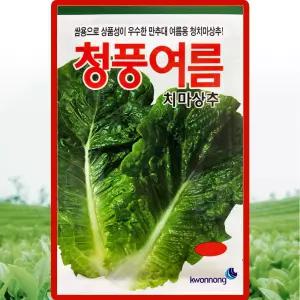 청풍여름 상추 씨앗 3000립 여름용 청치마 상추씨 종자