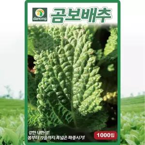 다농 곰보배추 씨앗 1000립 배암차즈기 곰보배추씨 종자