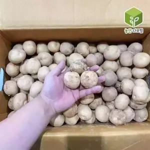 국내산 햇감자 알감자 조림용 10kg