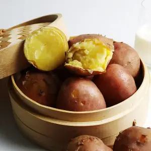 해남 황토 카스테라감자 홍감자 햇감자 3kg 5kg