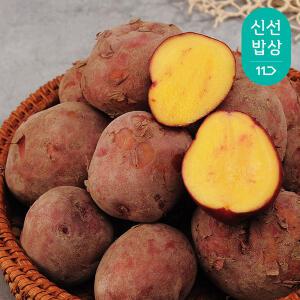 전남 보성 홍감자 3kg 특(테니스공크기)