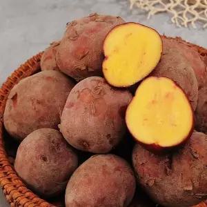 전남 보성 홍감자 3kg 특 (찜용/테니스공크기)