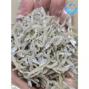 [바다씨쌀롱]여수 금오도 낭장망 볶음용 멸치 1.5kg(지리멸 2cm내외)