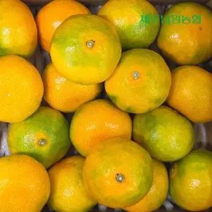 제주남원농협 산지직송 제주 고당도 하우스 감귤 중대과 2.5kg (실중량)