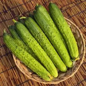 아삭 싱싱 백오이 백다다기오이 5kg