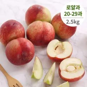 [다농이네]달콤한 신비복숭아 2.5kg 20-29과 로얄과