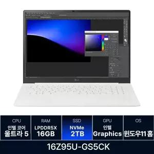 LG전자 그램 프로 16Z95U-GS5CK RAM 16GB 2TB 교체