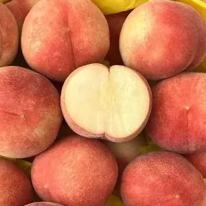 김제 하우스 대극천 복숭아 300g 3-5과 소과 대극천 납작복숭아 납작한복숭아 반납작복숭아