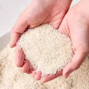[인정식탁]강화도 못난이쌀 쇄미 10kg x 2 (죽/떡용)