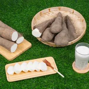 안동 산마 1kg 못난이