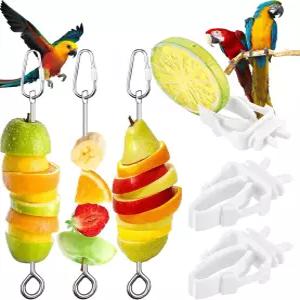 6 PCS 새 간식 꼬치 잉꼬 걸이 음식 홀더 스테인리스 과일 채소 스틱 코카투 코카티엘 케이지 처리 도구