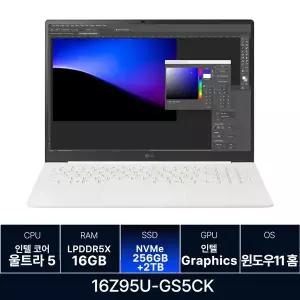 LG전자 그램 프로 16Z95U-GS5CK RAM 16GB 256GB + 2TB 추가