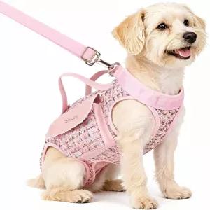 목줄이 달린 YuxArmor 개 트 하네스 캐리어 통기성 패션 소형 슬링 산책 쇼핑 여행용 휴대용 반려동물 지갑